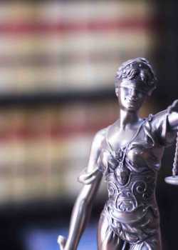  lawyer websites